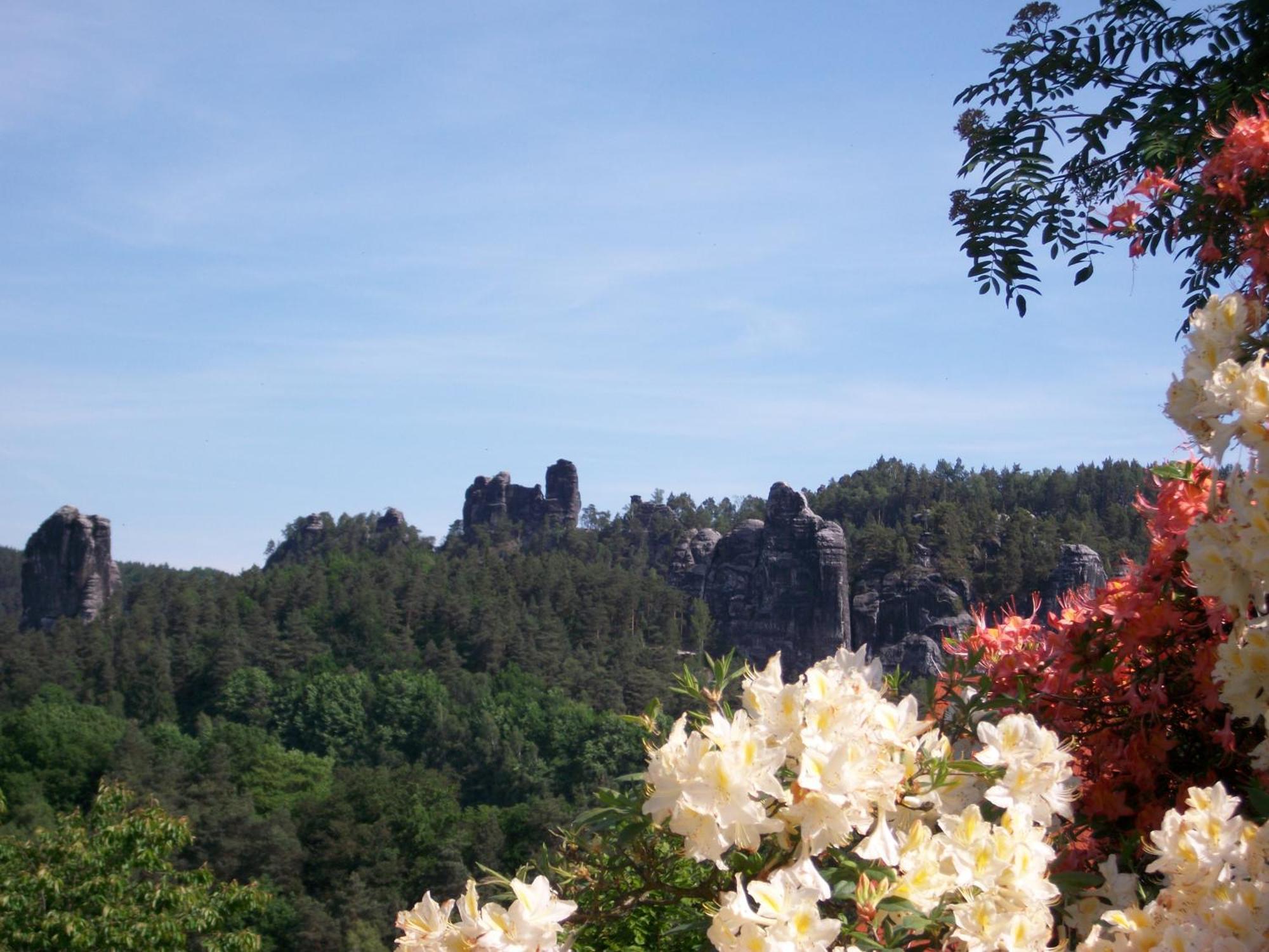 Ferienwohnung Zum Lilienstein باد سشاندو المظهر الخارجي الصورة