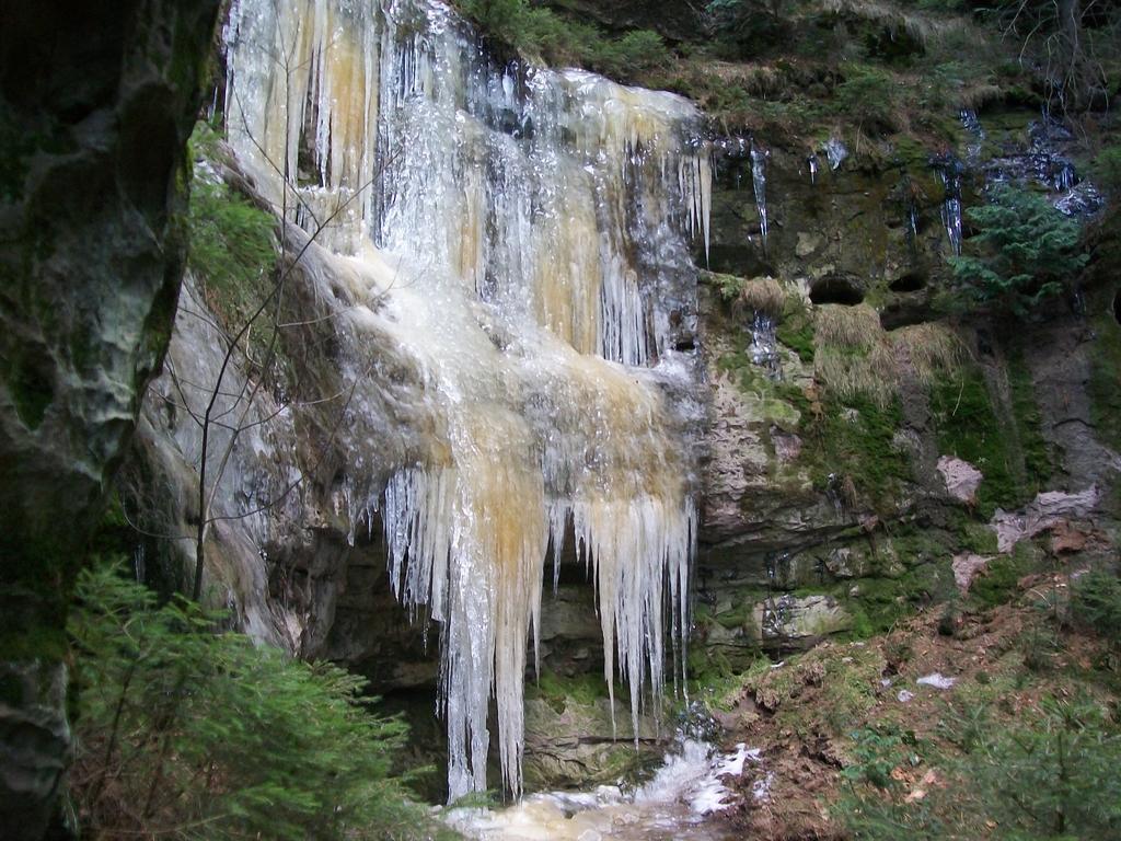 Ferienwohnung Zum Lilienstein باد سشاندو المظهر الخارجي الصورة