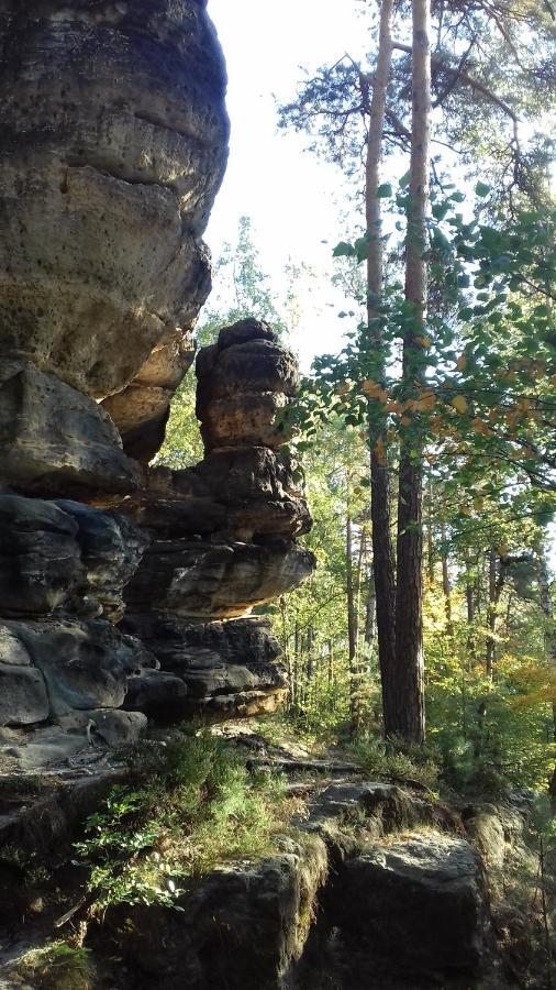 Ferienwohnung Zum Lilienstein باد سشاندو المظهر الخارجي الصورة